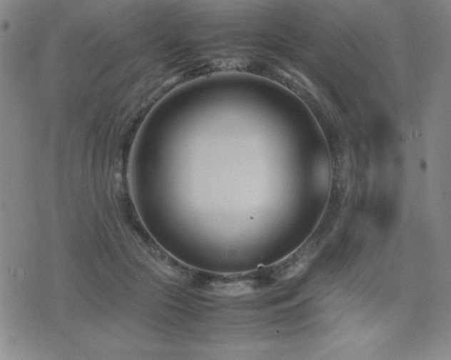 X0000077340553200610201302