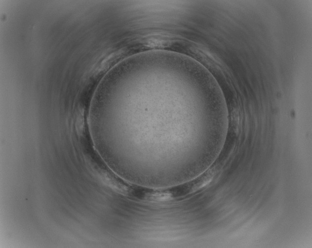 X0000077340554200610201302