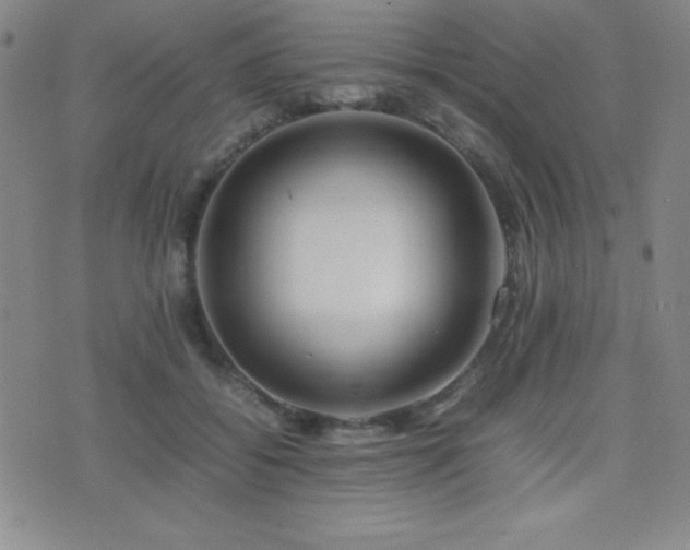X0000077340556200610201302