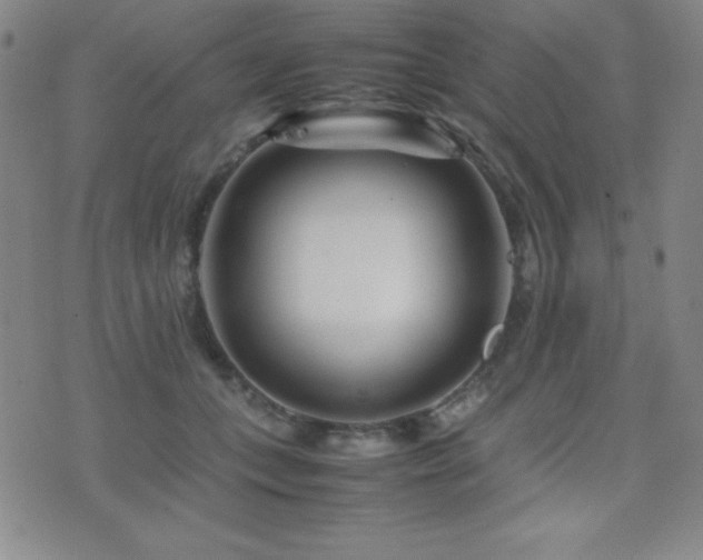 X0000077340559200610201302