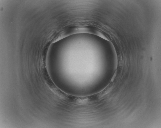 X0000077340560200610201302
