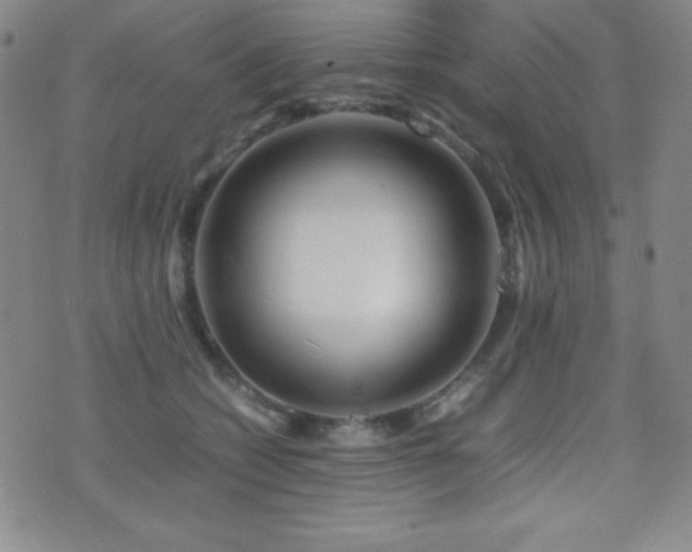 X0000077340562200610201302