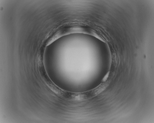 X0000077340564200610201302