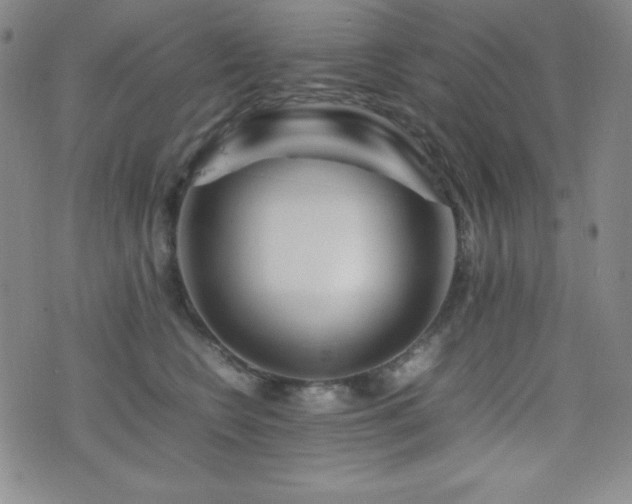 X0000077340566200610201302