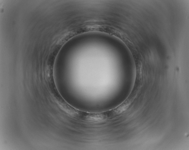 X0000077340567200610201302