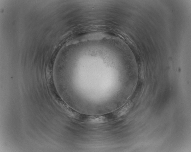 X0000077340569200610201302