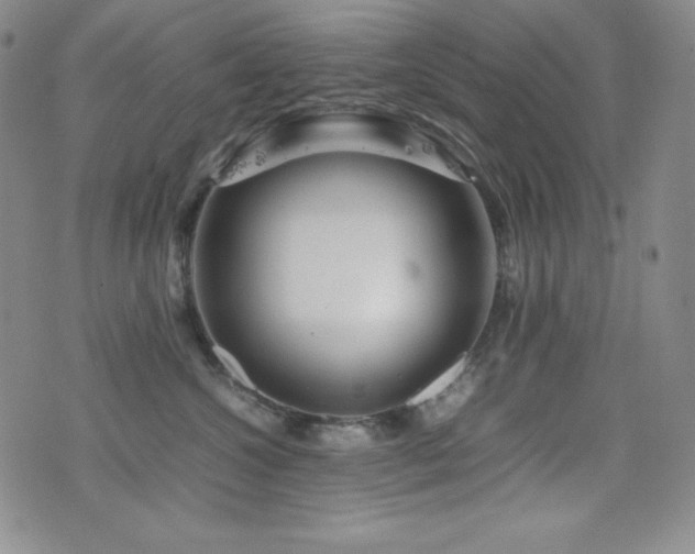 X0000077340572200610201302