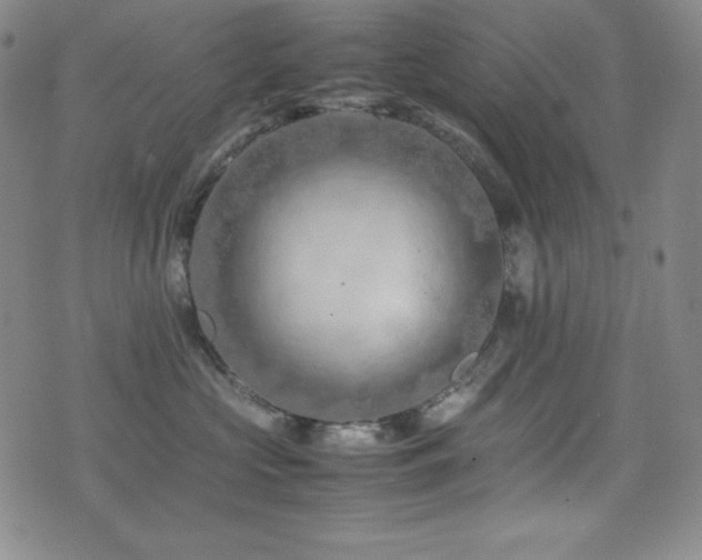 X0000077340573200610201302