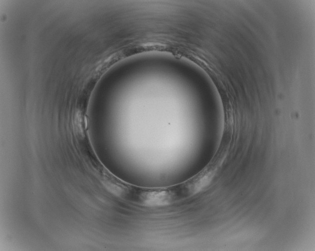 X0000077340575200610201302