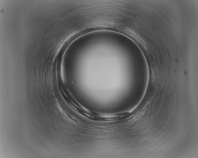 X0000077340580200610201301