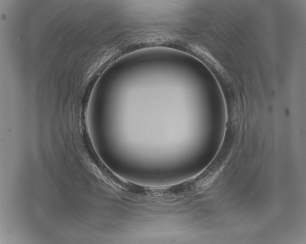 X0000077340585200610201301