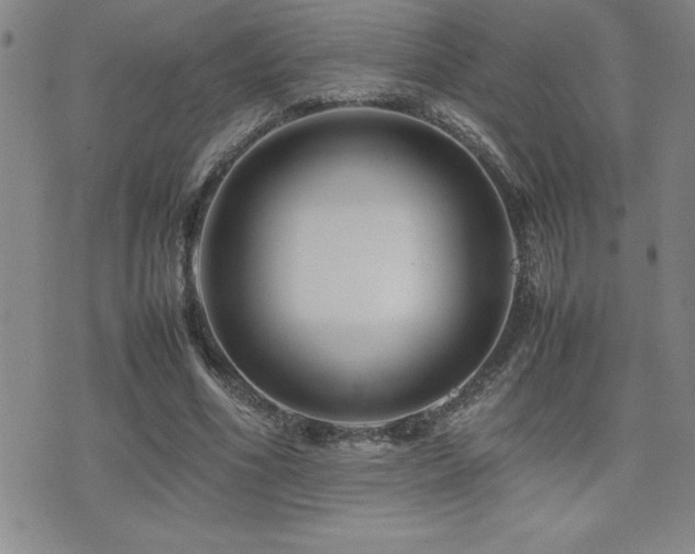 X0000077340586200610201301