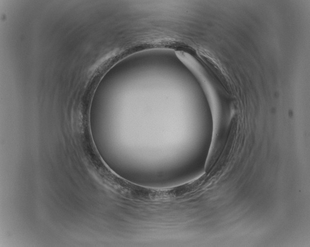 X0000077340587200610201301