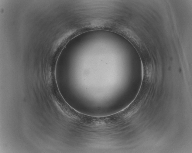 X0000077340588200610201301