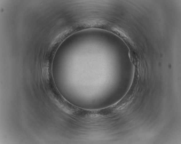 X0000077340590200610201301