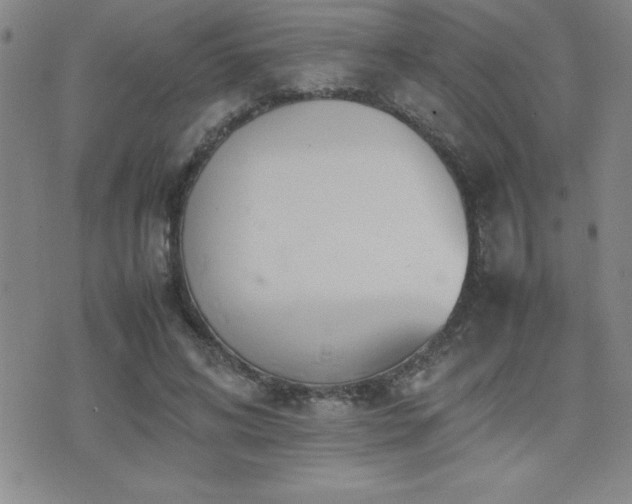 X0000077340592200610201301