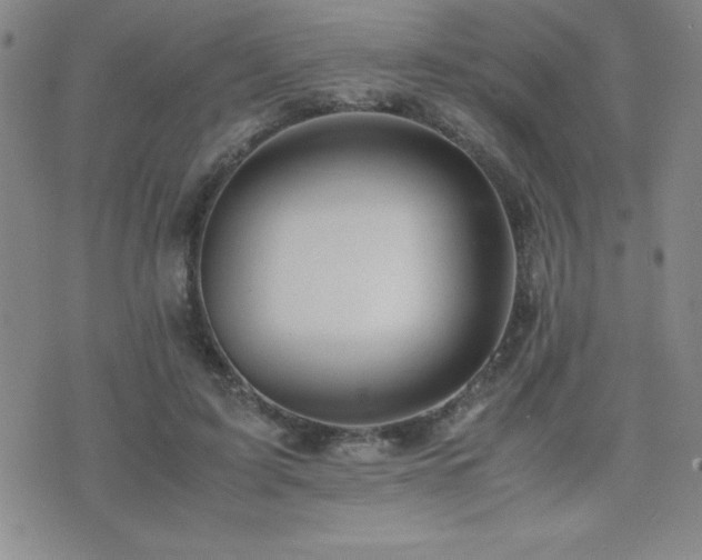 X0000077340595200610201301