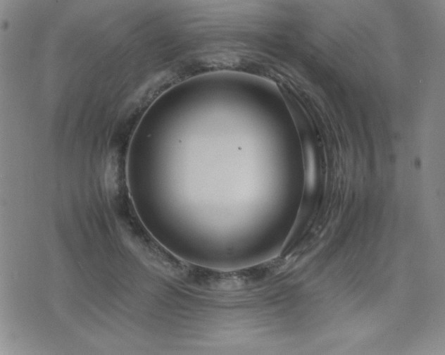 X0000077340600200610201301