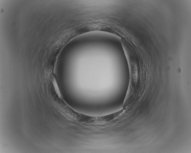 X0000077340601200610201301