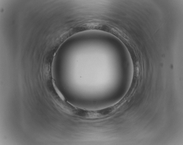 X0000077340605200610201301