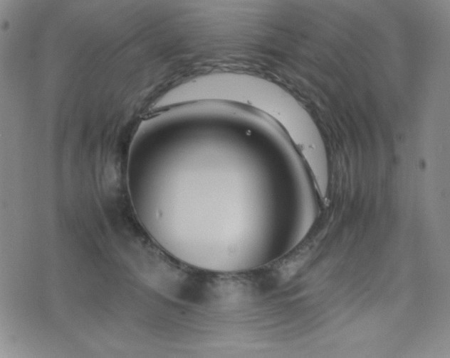 X0000077340608200610201301