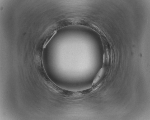 X0000077340609200610201301