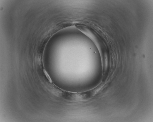 X0000077340613200610201301
