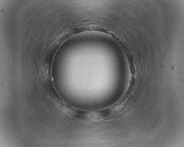 X0000077340615200610201301