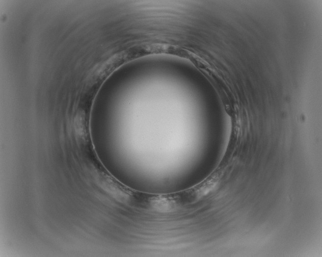 X0000077340616200610201301