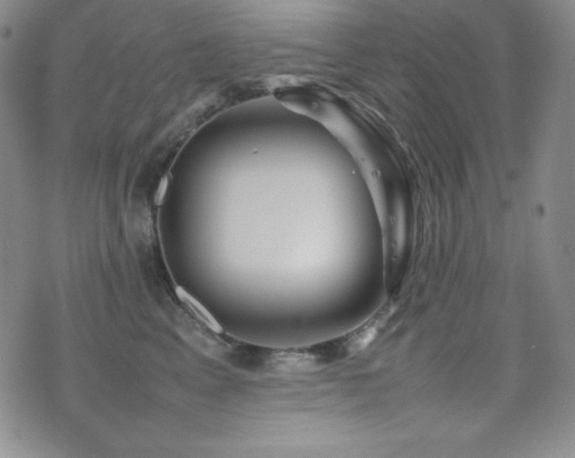 X0000077340617200610201301
