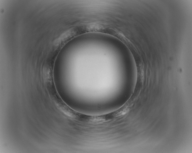 X0000077340619200610201301
