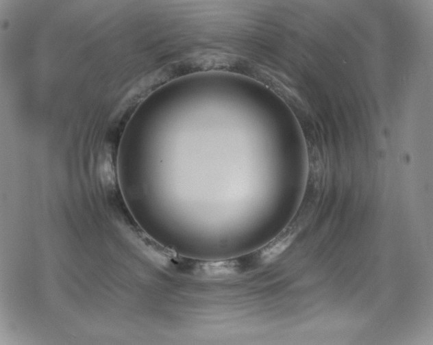 X0000077340622200610201301