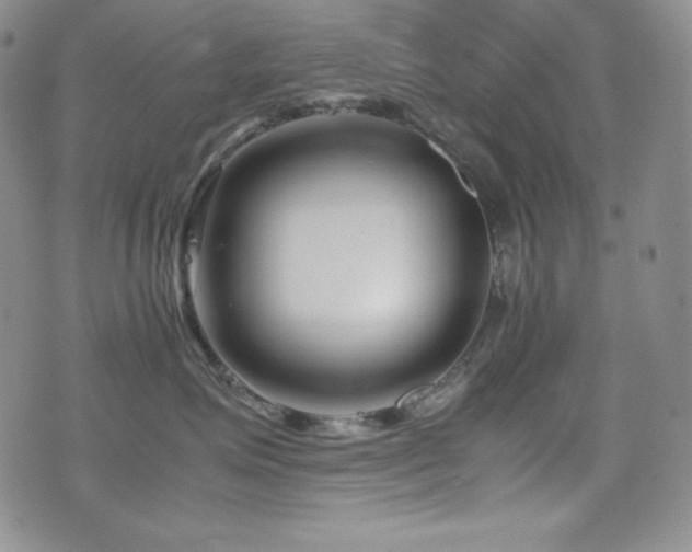 X0000077340623200610201301