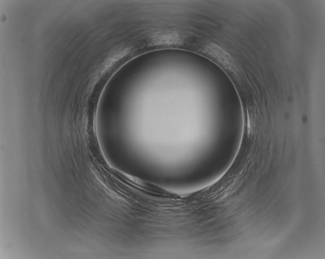 X0000077340627200610201300