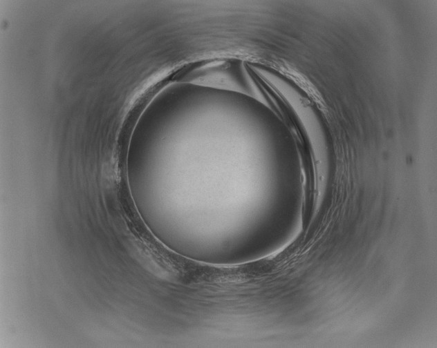 X0000077340628200610201300