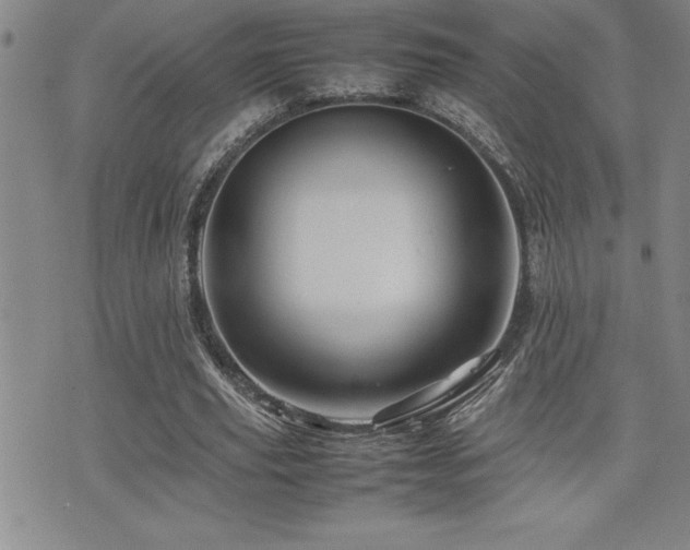 X0000077340629200610201300