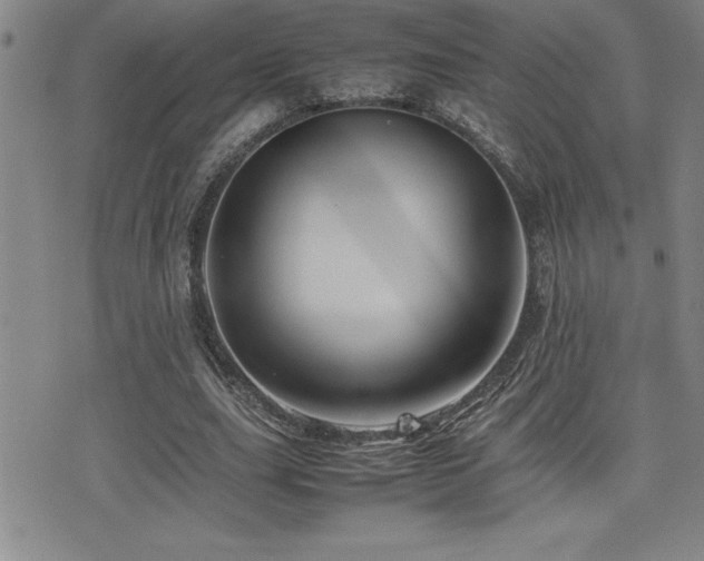 X0000077340631200610201300