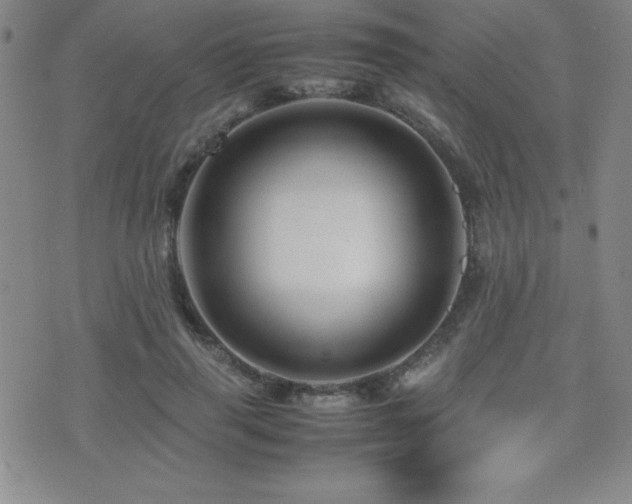 X0000077340645200610201300