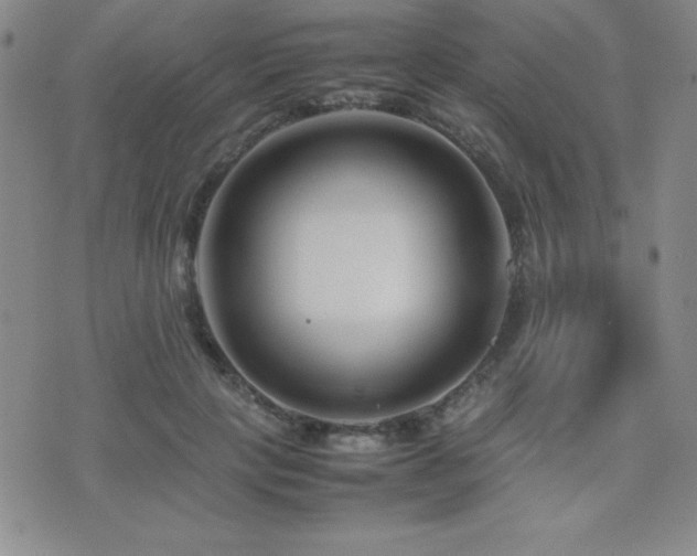 X0000077340649200610201300
