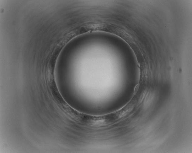 X0000077340651200610201300