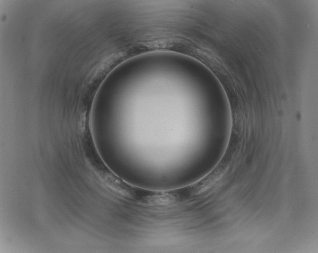 X0000077340652200610201300