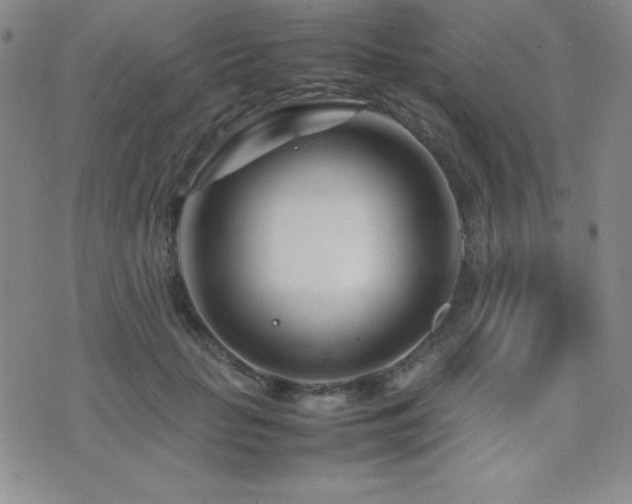 X0000077340653200610201300