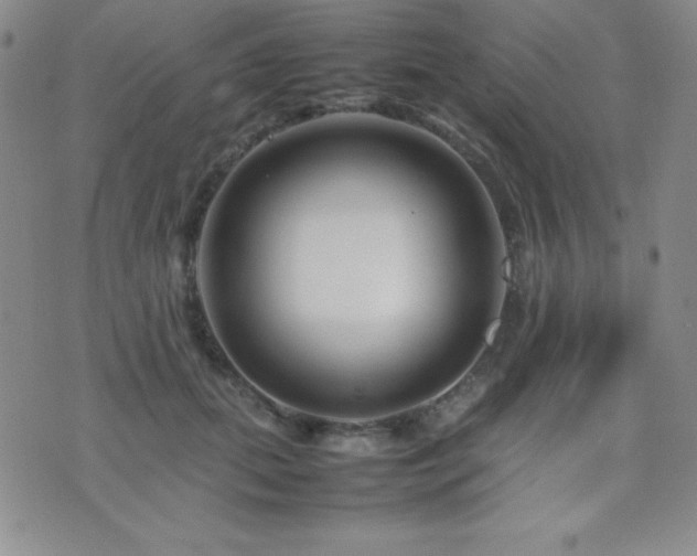 X0000077340655200610201300