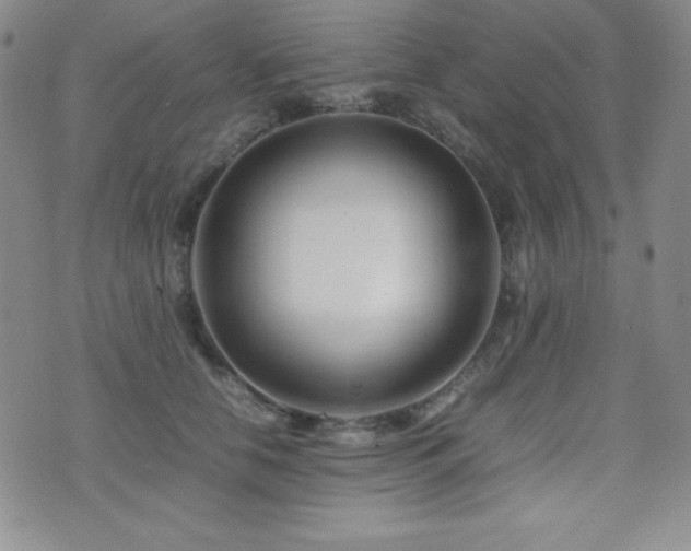 X0000077340658200610201300