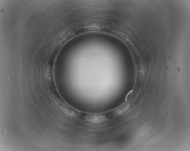 X0000077340663200610201300