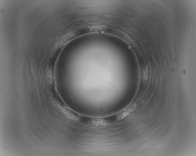 X0000077340666200610201300