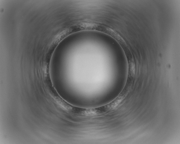 X0000077340668200610201300