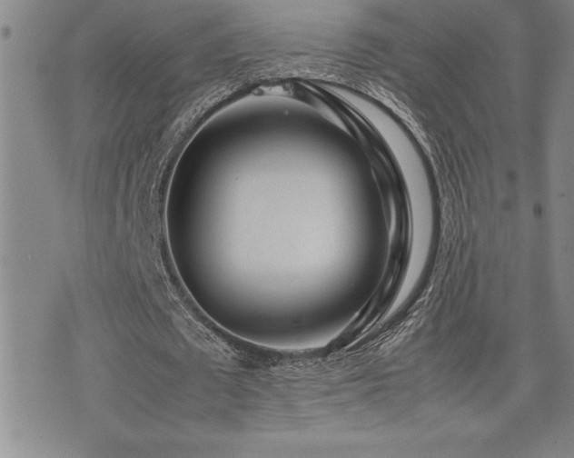X0000077340673200610201300