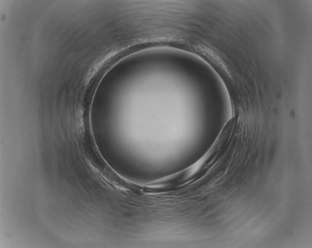X0000077340676200610201300