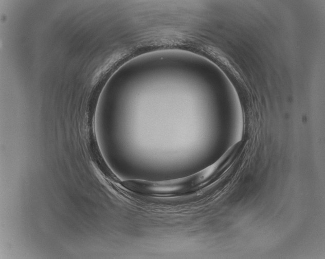 X0000077340677200610201300